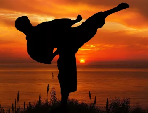 Martial Arts 101: 5 Ideas to Enhance Your Training