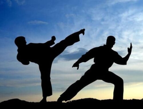 Why Should Adults Learn the Basics of Mixed Martial Arts