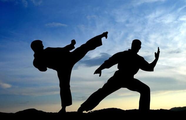 Why Should Adults Learn the Basics of Mixed Martial Arts