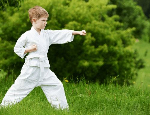A Guide to the Learning Process in Martial Arts
