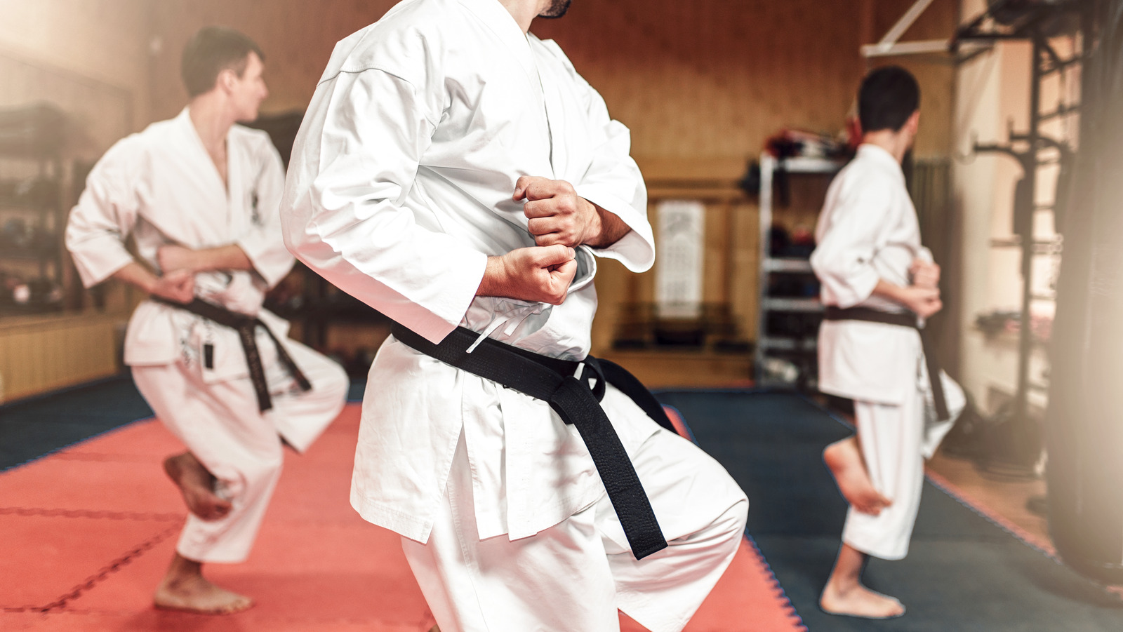 Embracing Martial Arts as a Comprehensive Fitness Solution