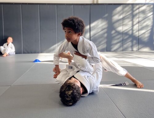 Mastering the Art of Grappling at Pride Martial Arts Academy