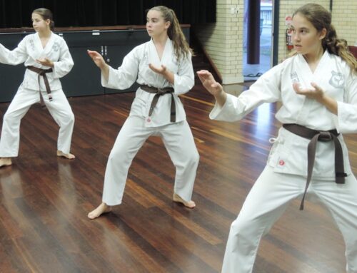 Tae Kwon Do for Mental and Physical Balance: A Holistic Approach to Martial Arts Training