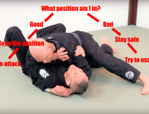 Beginner’s Guide to Jiu-Jitsu Basics